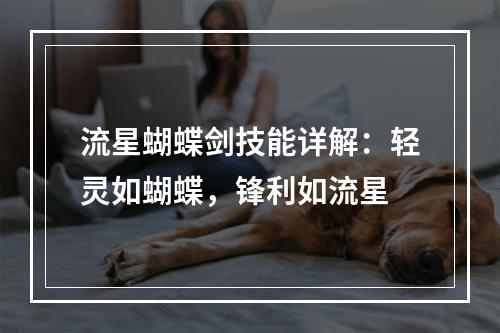 流星蝴蝶剑技能详解：轻灵如蝴蝶，锋利如流星