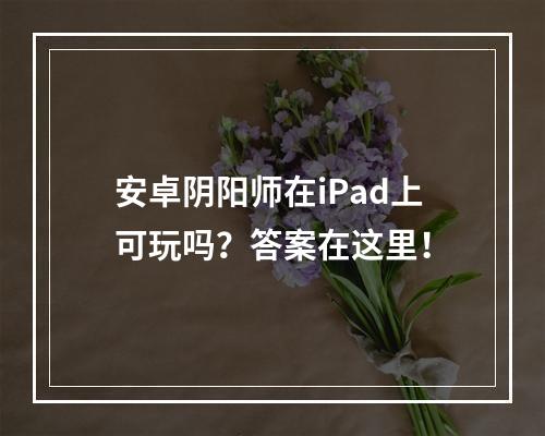 安卓阴阳师在iPad上可玩吗？答案在这里！