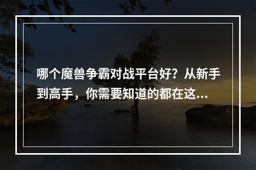 哪个魔兽争霸对战平台好？从新手到高手，你需要知道的都在这里！