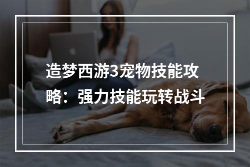 造梦西游3宠物技能攻略：强力技能玩转战斗