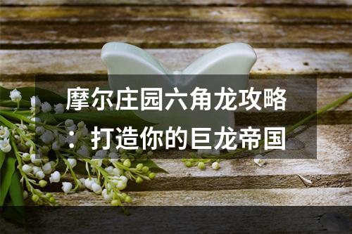 摩尔庄园六角龙攻略：打造你的巨龙帝国