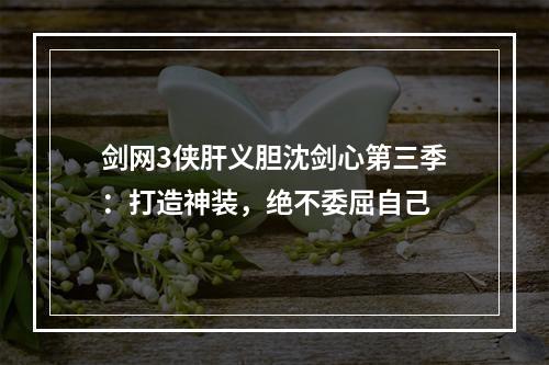 剑网3侠肝义胆沈剑心第三季：打造神装，绝不委屈自己