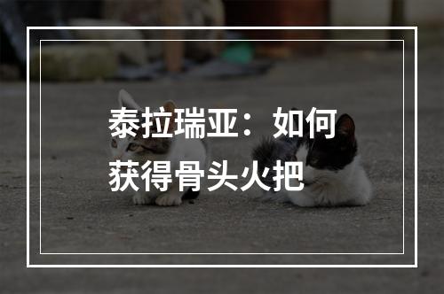 泰拉瑞亚：如何获得骨头火把