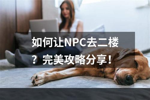 如何让NPC去二楼？完美攻略分享！