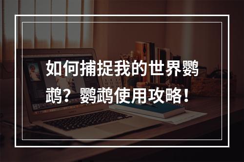 如何捕捉我的世界鹦鹉？鹦鹉使用攻略！