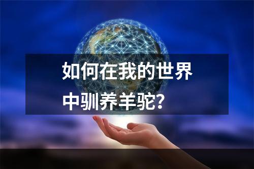 如何在我的世界中驯养羊驼？