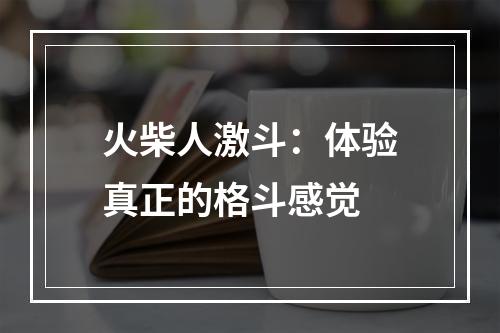 火柴人激斗：体验真正的格斗感觉