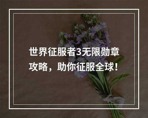 世界征服者3无限勋章攻略，助你征服全球！