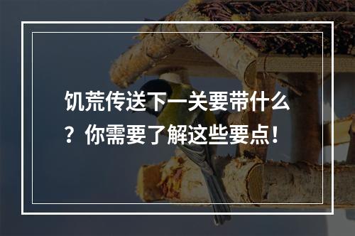 饥荒传送下一关要带什么？你需要了解这些要点！