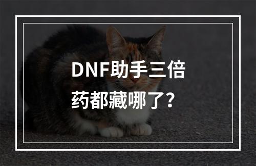 DNF助手三倍药都藏哪了？