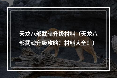 天龙八部武魂升级材料（天龙八部武魂升级攻略：材料大全！）