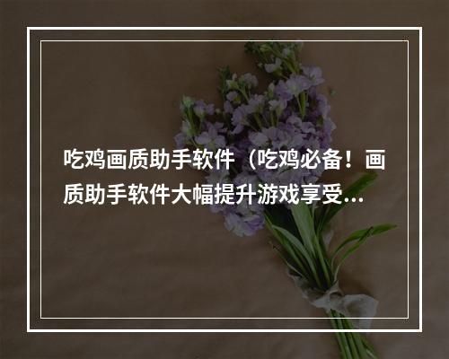 吃鸡画质助手软件（吃鸡必备！画质助手软件大幅提升游戏享受）