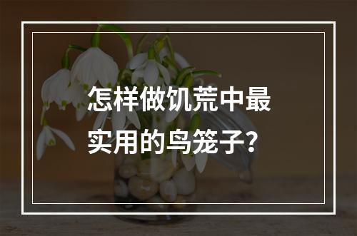 怎样做饥荒中最实用的鸟笼子？