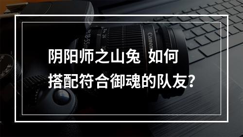 阴阳师之山兔  如何搭配符合御魂的队友？