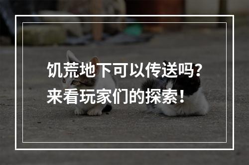 饥荒地下可以传送吗？来看玩家们的探索！