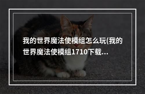 我的世界魔法使模组怎么玩(我的世界魔法使模组1710下载)