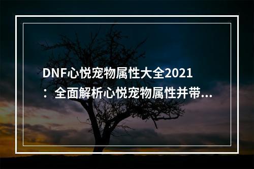 DNF心悦宠物属性大全2021：全面解析心悦宠物属性并带你通过地下城之旅