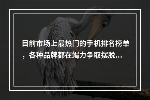 目前市场上最热门的手机排名榜单，各种品牌都在竭力争取摆脱其他品牌的竞争，然而排名第一的明星依然是无可