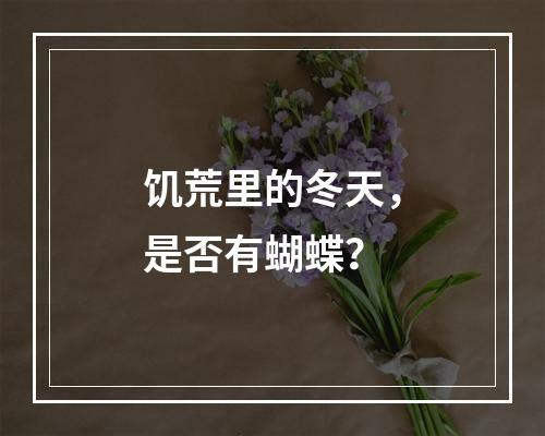 饥荒里的冬天，是否有蝴蝶？