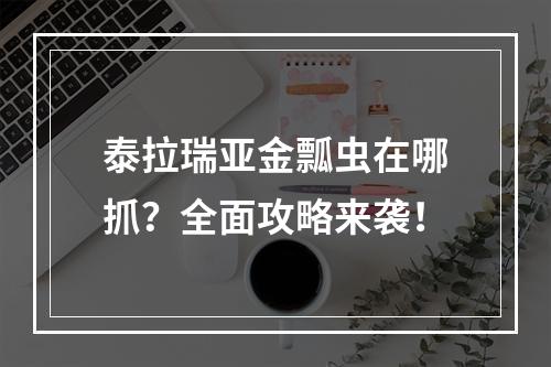 泰拉瑞亚金瓢虫在哪抓？全面攻略来袭！