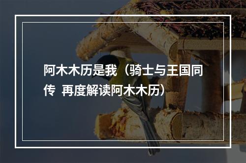 阿木木历是我（骑士与王国同传  再度解读阿木木历）