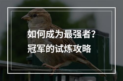 如何成为最强者？冠军的试炼攻略