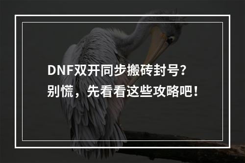 DNF双开同步搬砖封号？别慌，先看看这些攻略吧！