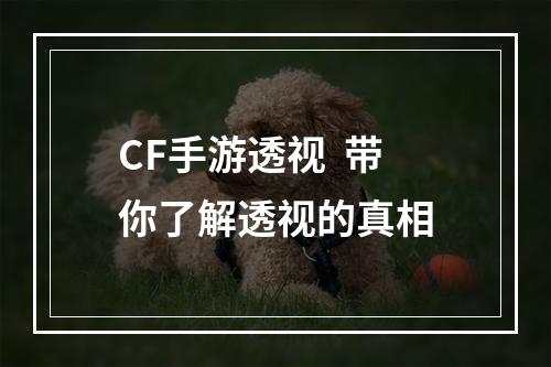 CF手游透视  带你了解透视的真相