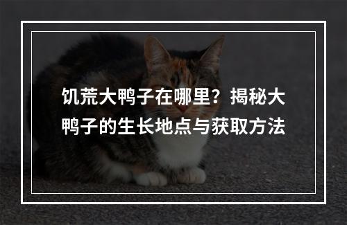 饥荒大鸭子在哪里？揭秘大鸭子的生长地点与获取方法