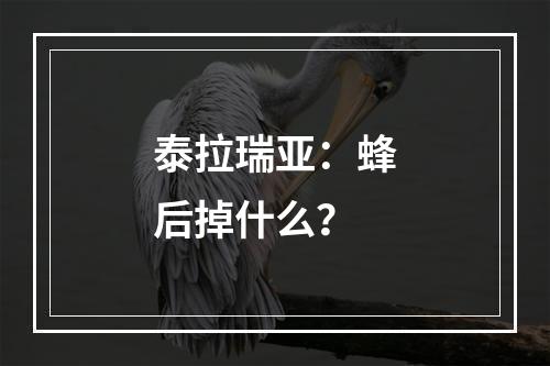 泰拉瑞亚：蜂后掉什么？