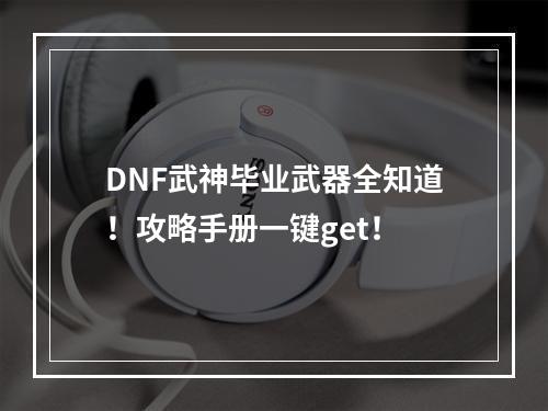 DNF武神毕业武器全知道！攻略手册一键get！