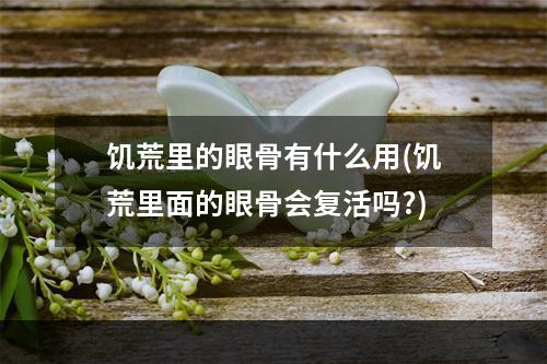 饥荒里的眼骨有什么用(饥荒里面的眼骨会复活吗?)