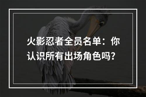 火影忍者全员名单：你认识所有出场角色吗？