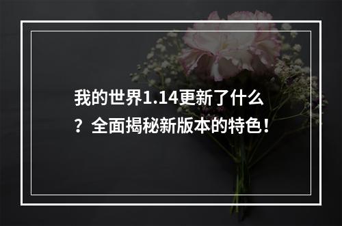 我的世界1.14更新了什么？全面揭秘新版本的特色！