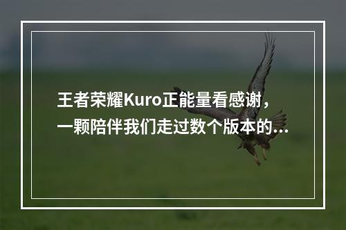 王者荣耀Kuro正能量看感谢，一颗陪伴我们走过数个版本的神锤