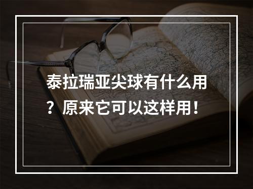 泰拉瑞亚尖球有什么用？原来它可以这样用！