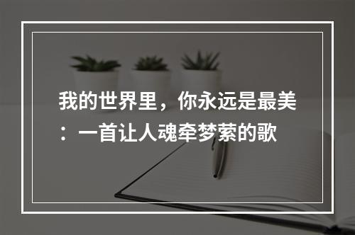 我的世界里，你永远是最美：一首让人魂牵梦萦的歌