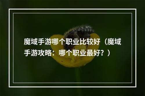 魔域手游哪个职业比较好（魔域手游攻略：哪个职业最好？）