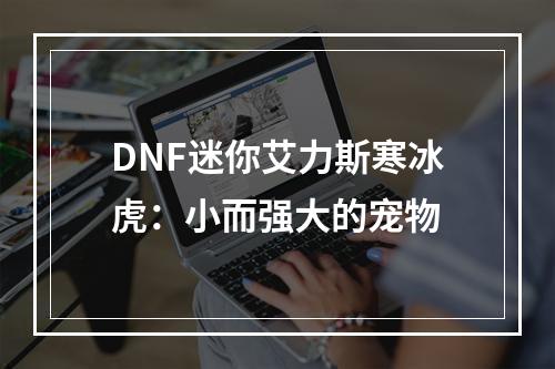 DNF迷你艾力斯寒冰虎：小而强大的宠物