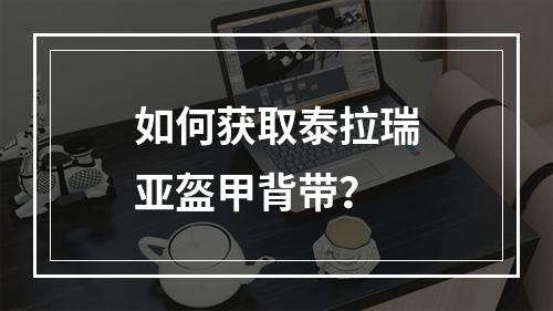 如何获取泰拉瑞亚盔甲背带？