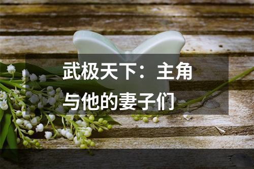 武极天下：主角与他的妻子们