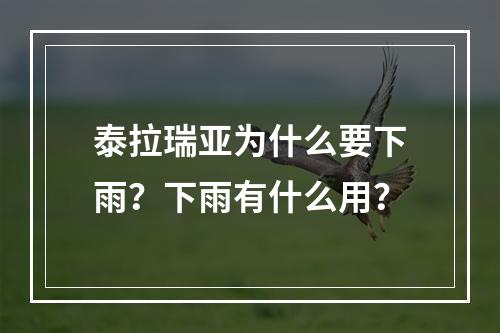 泰拉瑞亚为什么要下雨？下雨有什么用？