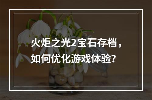 火炬之光2宝石存档，如何优化游戏体验？