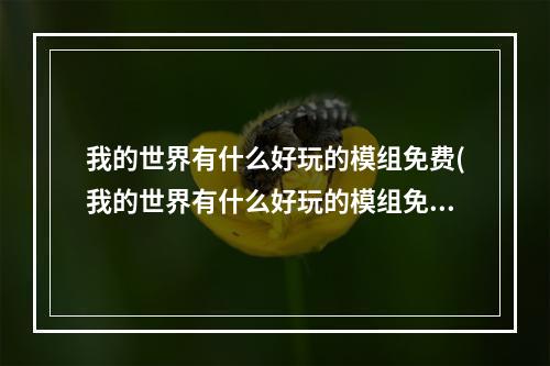 我的世界有什么好玩的模组免费(我的世界有什么好玩的模组免费手机版下载)