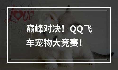 巅峰对决！QQ飞车宠物大竞赛！