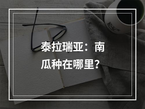 泰拉瑞亚：南瓜种在哪里？