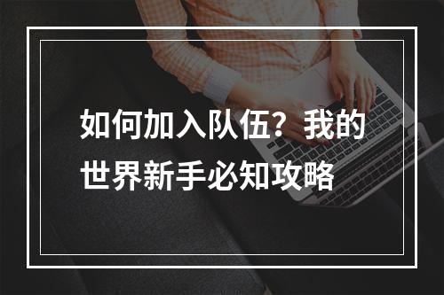 如何加入队伍？我的世界新手必知攻略