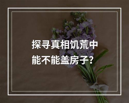 探寻真相饥荒中能不能盖房子？