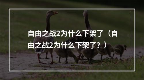 自由之战2为什么下架了（自由之战2为什么下架了？）