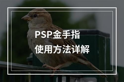 PSP金手指使用方法详解